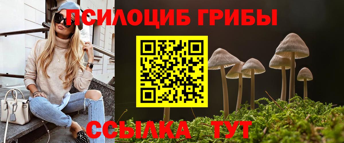 купить наркотики цена  Псилоцибиновые грибы прущие грибы  Вход с VPN  Котлас 
