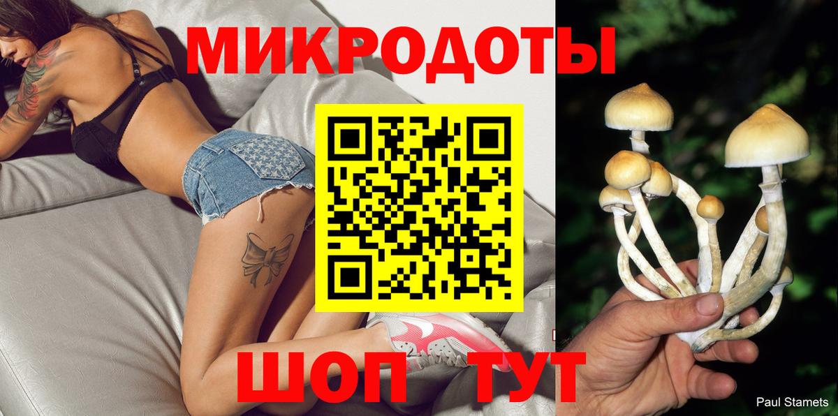 Псилоцибиновые грибы MAGIC MUSHROOMS Котлас